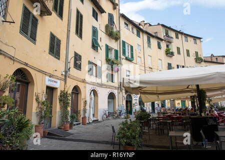 La Piazza dell'Anfiteatro Lucca, Toscane Italie Banque D'Images