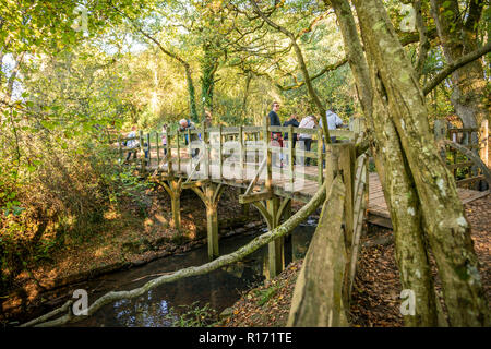 L'Ourson Stick Pont du Winnie-the-Pooh stories dans la forêt d'Ashdown, East Sussex, UK Banque D'Images