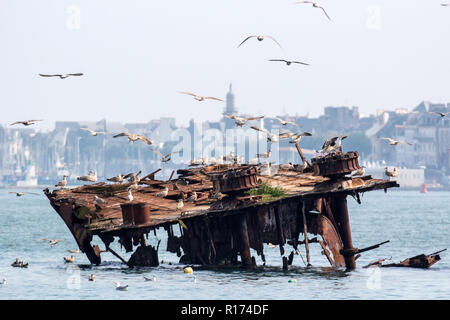 Rusty épave de la seconde guerre mondiale et les mouettes dans le port de Lorient, Bretagne, France Banque D'Images