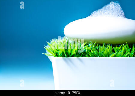 Avec du savon mousse dans la forme d'un poisson dans la case sur l'herbe verte sur un fond bleu ciel Banque D'Images