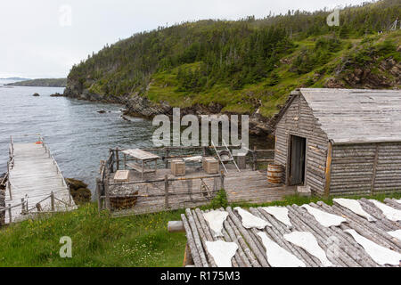 CAPE RANDOM, Terre-Neuve, Canada - film Random Passage, réplique d'un village de pêcheurs. Filets de morue sont artificielles accessoires. Banque D'Images