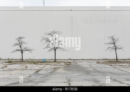 Ils ont perdu l'esquisse d'un signe extérieur d'un logo au magasin Sears fermé dans Waterford Township, Michigan le 26 octobre 2018. Banque D'Images