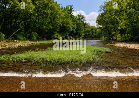Buffalo River- de l'eau faible en été, Buffalo River- Unité Erbie, Arkansas, États-Unis Banque D'Images