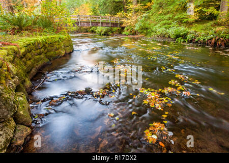 Les feuilles d'automne dans la région de South Fork Silver Creek et pont de bois en arrière-plan Banque D'Images