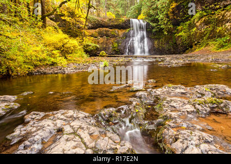 La région de North Falls s'écoulant en automne à Silver Falls State Park, Oregon, USA Banque D'Images