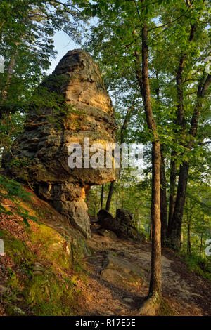 Des formations de roche de grès sur le sentier Bear Cave, Petit Jean State Park, New York, USA Banque D'Images