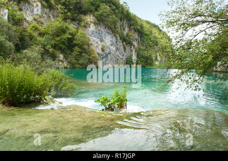 Les eaux turquoise du lac Gavanovac transparent entre les arbres verts et des roches blanches en été. Le parc national des lacs de Plitvice, Croatie Banque D'Images