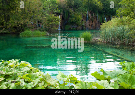 Les billes sur le fond du lac sous l'eau émeraude transparent. Cascade entre roches rouges et feuillage. Le parc national des lacs de Plitvice, Croatie Banque D'Images