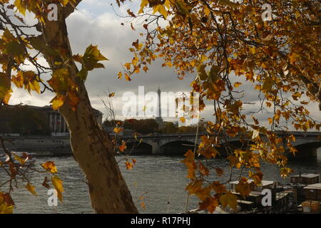 Paris le long de la Seine sous un auvent de feuilles d'automne. Banque D'Images