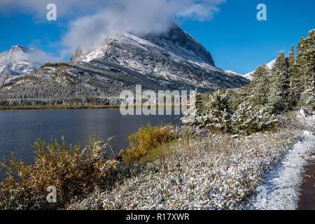 La neige recouvre le sentier et vegitation après une tempête de neige. Swiftcurrent Lake Nature Trail, Glacier National Park, Montana Banque D'Images