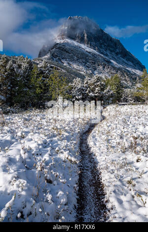 La neige recouvre le sentier et vegitation après une tempête de neige. Swiftcurrent Lake Nature Trail, Glacier National Park, Montana Banque D'Images