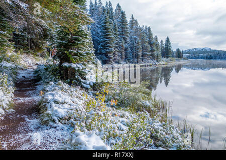 La neige recouvre le sentier et vegitation après une tempête de neige. Swiftcurrent Lake Nature Trail, Glacier National Park, Montana Banque D'Images