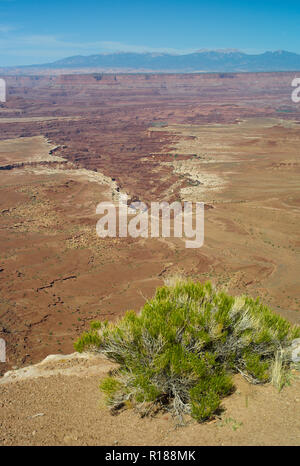 Buck Creek Canyon dans le Parc National de Canyonlands (Utah) Banque D'Images