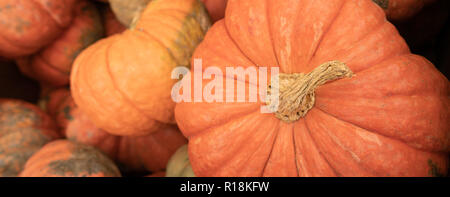 Nous savons que l'automne est ici lorsque affiche plein de citrouilles et courges présentent au marché trh Banque D'Images