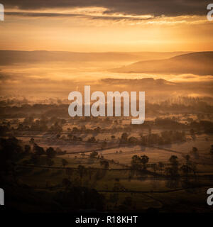 Soleil lumineux lumière dorée sur un misty Valley dans le Peak District, England, UK. Les arbres avec des ombres sur les champs au premier plan. Banque D'Images