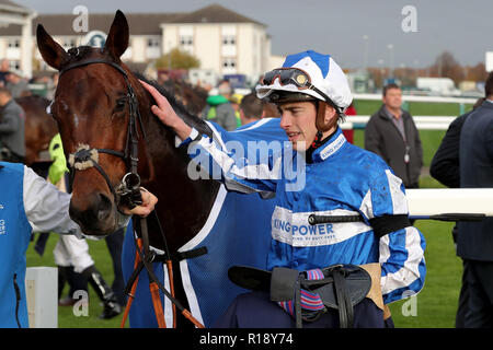 Triomphante Donjuan monté par James Doyle (à gauche) remporte le British Sportsbook Marathonbet EBF Gillies Pouliches' course pendant la journée Handicap Novembre Marathonbet à l'Hippodrome de Doncaster. Banque D'Images