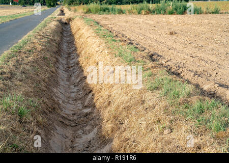 Le canal à côté du champ s'est tarie. En été, le sol durci sur les terres agricoles. Pas d'eau dans le canal. Banque D'Images