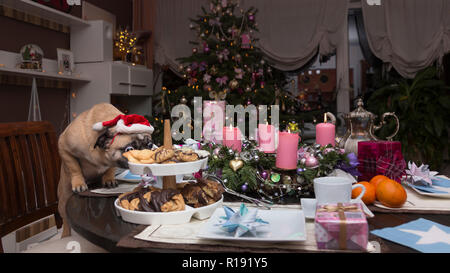 Noël, la table - un schnuppert au pug cookies Banque D'Images