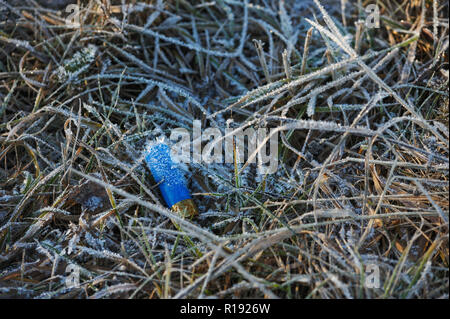 Manchon en plastique de la cartouche de chasse dans l'herbe sur le terrain, couverts de gel de l'humidité et le gel. Banque D'Images