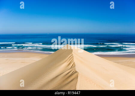 Dune de sable en face de l'Océan Indien Banque D'Images