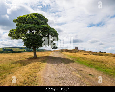 Arbre et le tour de la cage du National Trust dans la distance de Lyme dans le Peak District, Cheshire, Royaume-Uni Banque D'Images