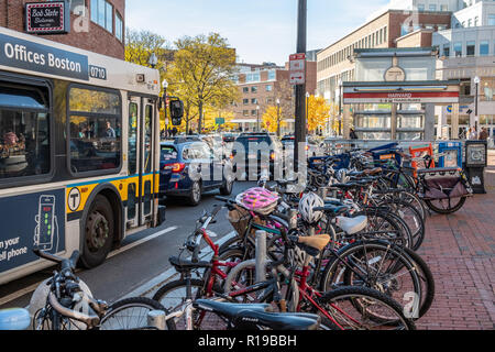 La circulation sur la rue Brattle dans Harvard Square, Cambridge, MA Banque D'Images