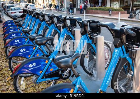 Vélos à louer dans la région de Harvard Square, Cambridge, MA Banque D'Images