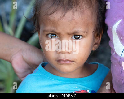 Jeune enfant sur l'île de Savai'i, la plus grande île de Samoa. Banque D'Images