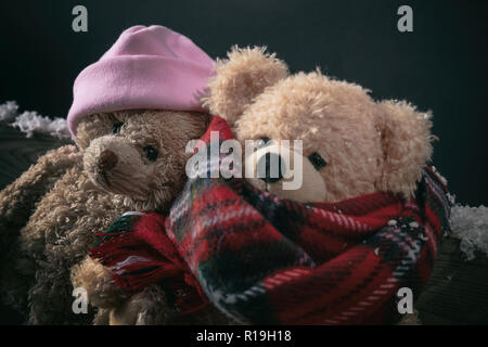 L'hiver, le temps froid, l'amour. Couple nounours assis à l'extérieur, sur un banc de neige, vue rapprochée Banque D'Images