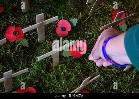 Margam, dans le sud du Pays de Galles, Royaume-Uni. 10 novembre 2018 un coquelicot est placé à côté d'une croix à Margam château dans le sud du Pays de Galles, Royaume-Uni, dans le cadre de l'exposition florale Nous nous souviendrons qui se tient à Margam Country Park, l'un des nombreux événements du souvenir happing tout le Royaume-Uni pour honorer ceux qui ont vécu, se sont battus et sont morts dans la Première Guerre mondiale. Crédit : Robert Melen/Alamy Live News Banque D'Images