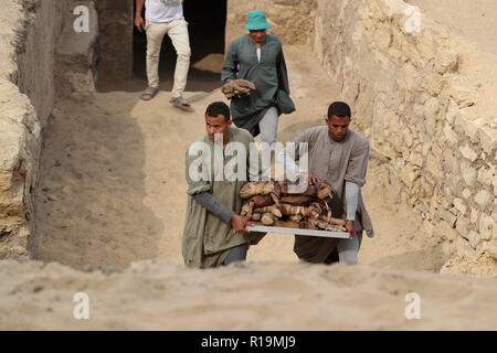 Giza, Egypte. 10 Nov, 2018. Des travailleurs portent des momies de chat de la tombe d'Khufu-Imhat, une des sept tombes appartenant à la nouvelle et anciens royaumes de l'Égypte. Une mission archéologique égyptienne a découvert sept nouveaux tombeaux de Saqqarah nécropole avec des dizaines de momies de chat, des centaines de statues en bois de chats et une médaille de bronze, qui consacre à "Bastet", la déesse adoré dès la deuxième dynastie (2890 avant notre ère). Credit : STR/afp/Alamy Live News Banque D'Images