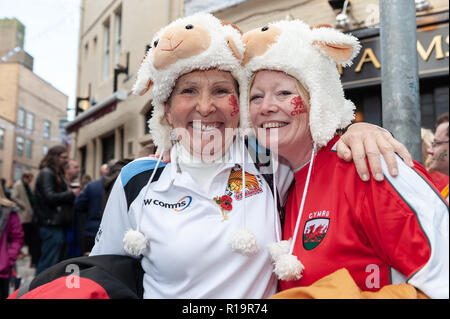 Cardiff, Wales, UK. 10 Nov, 2018. Le gallois à des fans un peu penaud avant le coup d'envoi entre le Pays de Galle et l'Australie dans la région de Cardiff. Crédit : Tim Colère/Alamy Live News Banque D'Images