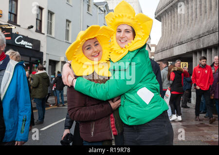 Cardiff, Wales, UK. 10 Nov, 2018. Welsh fans dans leur agthering jonquille chapeau à la foule avant le test match entre le Pays de Galle et l'Australie. Crédit : Tim Colère/Alamy Live News Banque D'Images