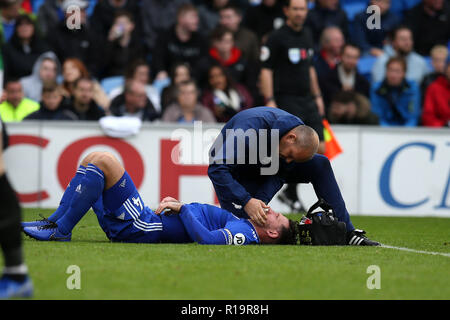 Cardiff, Royaume-Uni. 10 Nov, 2018. Sean Morrison, de la ville de Cardiff se trouve blessé sur le terrain. Premier League match, Cardiff City v Brighton & Hove Albion au Cardiff City Stadium le samedi 10 novembre 2018. Cette image ne peut être utilisé qu'à des fins rédactionnelles. Usage éditorial uniquement, licence requise pour un usage commercial. Aucune utilisation de pari, de jeux ou d'un seul club/ligue/dvd publications. Photos par Andrew Andrew/Verger Verger la photographie de sport/Alamy live news Crédit : Andrew Orchard la photographie de sport/Alamy Live News Banque D'Images