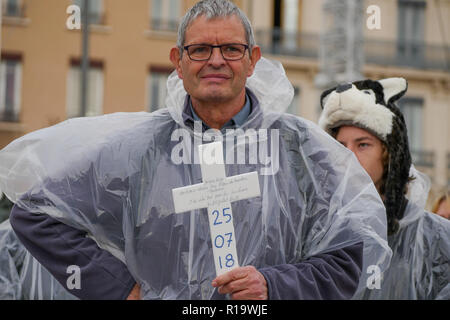 Lyon, France, 10 Novembre 2018 : réponse à "La voix des loups' - en Français : La voix des Loups - l'appel, plusieurs centaines de défenseurs des droits des animaux se sont réunis dans le centre de Lyon (Centre-est de la France) le 10 novembre 2018 pour assister à un rassemblement pour protester contre la chasse aux loups. Comme 47 loups ont été tourné en France au cours de l'année 2018, 47 militants portant des costumes et des masques de loup blanc s'élevait à la place Bellecour, tenant une croix la lecture de la date d'un loup mort, avant de prendre part à une marche à travers la ville. Crédit photo : Serge Mouraret/Alamy Live News Banque D'Images