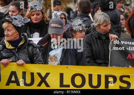 Lyon, France, 10 Novembre 2018 : réponse à "La voix des loups' - en Français : La voix des Loups - l'appel, plusieurs centaines de défenseurs des droits des animaux se sont réunis dans le centre de Lyon (Centre-est de la France) le 10 novembre 2018 pour assister à un rassemblement pour protester contre la chasse aux loups. Comme 47 loups ont été tourné en France au cours de l'année 2018, 47 militants portant des costumes et des masques de loup blanc s'élevait à la place Bellecour, tenant une croix la lecture de la date d'un loup mort, avant de prendre part à une marche à travers la ville. Crédit photo : Serge Mouraret/Alamy Live News Banque D'Images