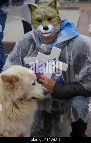 Lyon, France, 10 Novembre 2018 : réponse à "La voix des loups' - en Français : La voix des Loups - l'appel, plusieurs centaines de défenseurs des droits des animaux se sont réunis dans le centre de Lyon (Centre-est de la France) le 10 novembre 2018 pour assister à un rassemblement pour protester contre la chasse aux loups. Comme 47 loups ont été tourné en France au cours de l'année 2018, 47 militants portant des costumes et des masques de loup blanc s'élevait à la place Bellecour, tenant une croix la lecture de la date d'un loup mort, avant de prendre part à une marche à travers la ville. Crédit photo : Serge Mouraret/Alamy Live News Banque D'Images