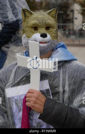 Lyon, France, 10 Novembre 2018 : réponse à "La voix des loups' - en Français : La voix des Loups - l'appel, plusieurs centaines de défenseurs des droits des animaux se sont réunis dans le centre de Lyon (Centre-est de la France) le 10 novembre 2018 pour assister à un rassemblement pour protester contre la chasse aux loups. Comme 47 loups ont été tourné en France au cours de l'année 2018, 47 militants portant des costumes et des masques de loup blanc s'élevait à la place Bellecour, tenant une croix la lecture de la date d'un loup mort, avant de prendre part à une marche à travers la ville. Crédit photo : Serge Mouraret/Alamy Live News Banque D'Images