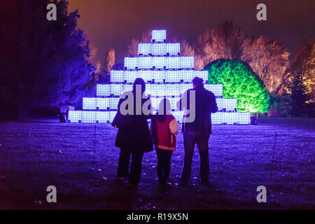 Londres, Royaume-Uni. 9 Nov 2018. Syon Park Enchanted annuel événement lumineux forestiers. Crédit : Guy Josse/Alamy Live News Banque D'Images