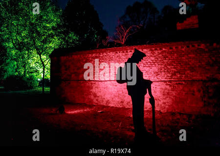 Londres, Royaume-Uni. 9 Nov 2018. Syon Park Enchanted annuel événement lumineux forestiers. Crédit : Guy Josse/Alamy Live News Banque D'Images