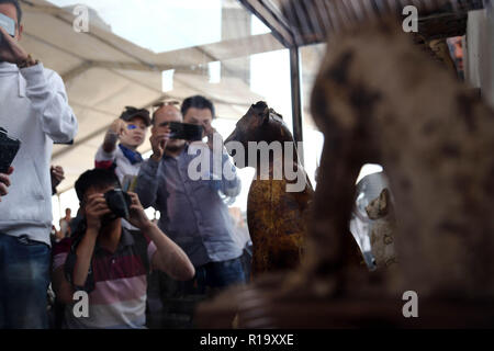 Giza, Egypte. 10 Nov, 2018. Les gens regardent les artefacts mis au jour dans la nécropole de Saqqara, Giza, Egypte, Province sur 10 Novembre, 2018. Ministre égyptien des antiquités Khaled al-Anany a annoncé samedi la découverte de sept tombes pharaoniques dans la nécropole de Saqqara. Credit : Ahmed Gomaa/Xinhua/Alamy Live News Banque D'Images