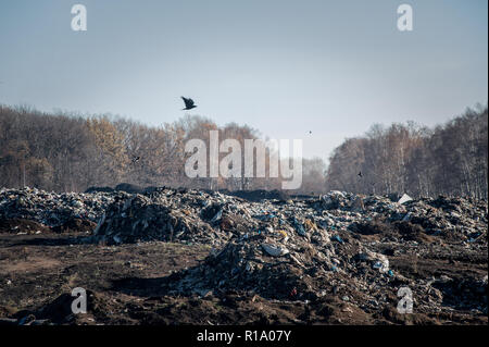 Région de Tambov Tambov, région, la Russie. 10 Nov, 2018. Une décharge dans le domaine de l'enfouissement dans la région de Tambov Crédit : Demian Stringer/ZUMA/Alamy Fil Live News Banque D'Images