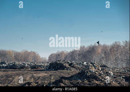 Région de Tambov Tambov, région, la Russie. 10 Nov, 2018. Une décharge dans le domaine de l'enfouissement dans la région de Tambov Crédit : Demian Stringer/ZUMA/Alamy Fil Live News Banque D'Images