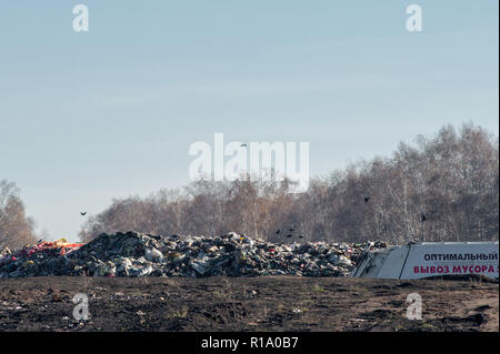 Région de Tambov Tambov, région, la Russie. 10 Nov, 2018. Une décharge dans le domaine de l'enfouissement dans la région de Tambov Crédit : Demian Stringer/ZUMA/Alamy Fil Live News Banque D'Images