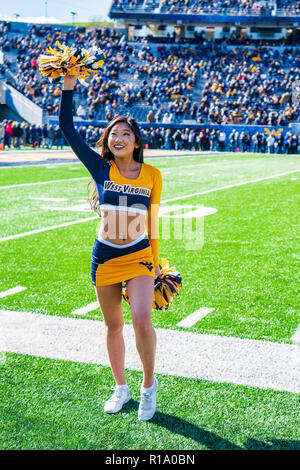 Morgantown, West Virginia, USA. 10 Nov, 2018. A West Virginia Mountaineers cheerleader pendant le NCAA college football match entre le TCU Horned Frogs et le West Virginia Mountaineers le samedi 10 novembre 2018 à Milan, stade Milan Puskar de Morgantown, West Virginia. Jacob Kupferman/CSM Banque D'Images