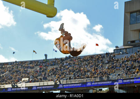 Morgantown, West Virginia, USA. 10 Nov, 2018. A West Virginia Mountaineers cheerleader effectue avant le grand match de football joué à 12 Mountaineer Field de Morgantown, WV. # 9 WVU beat TCU 47-10, Photo : Ken Inness/ZUMA/Alamy Fil Live News Banque D'Images