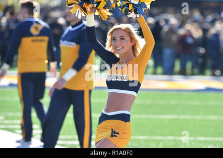 Morgantown, West Virginia, USA. 10 Nov, 2018. A West Virginia Mountaineers cheerleader effectue avant le grand match de football joué à 12 Mountaineer Field de Morgantown, WV. # 9 WVU beat TCU 47-10, Photo : Ken Inness/ZUMA/Alamy Fil Live News Banque D'Images