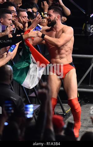 Rome, Italie. 11Th Nov, 2018. Show WWE Live at the Palalottomatica-Rome 10-11-2018 Dans l'image Finn Balor Photographe01 Photo Credit : agence photo indépendante/Alamy Live News Banque D'Images