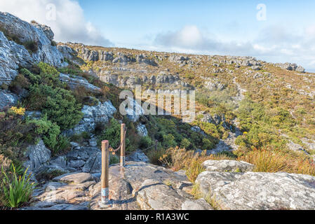 CAPE TOWN, AFRIQUE DU SUD, le 17 août 2018 : La vue sur le haut de la montagne de la table au Cap. La balustrade de la chaîne sur la piste vers Maclears Beacon est visible Banque D'Images