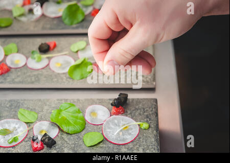 Un cuisinier ajoute une pincée de sel à un placage artistique de micro vert et salade de radis. Banque D'Images